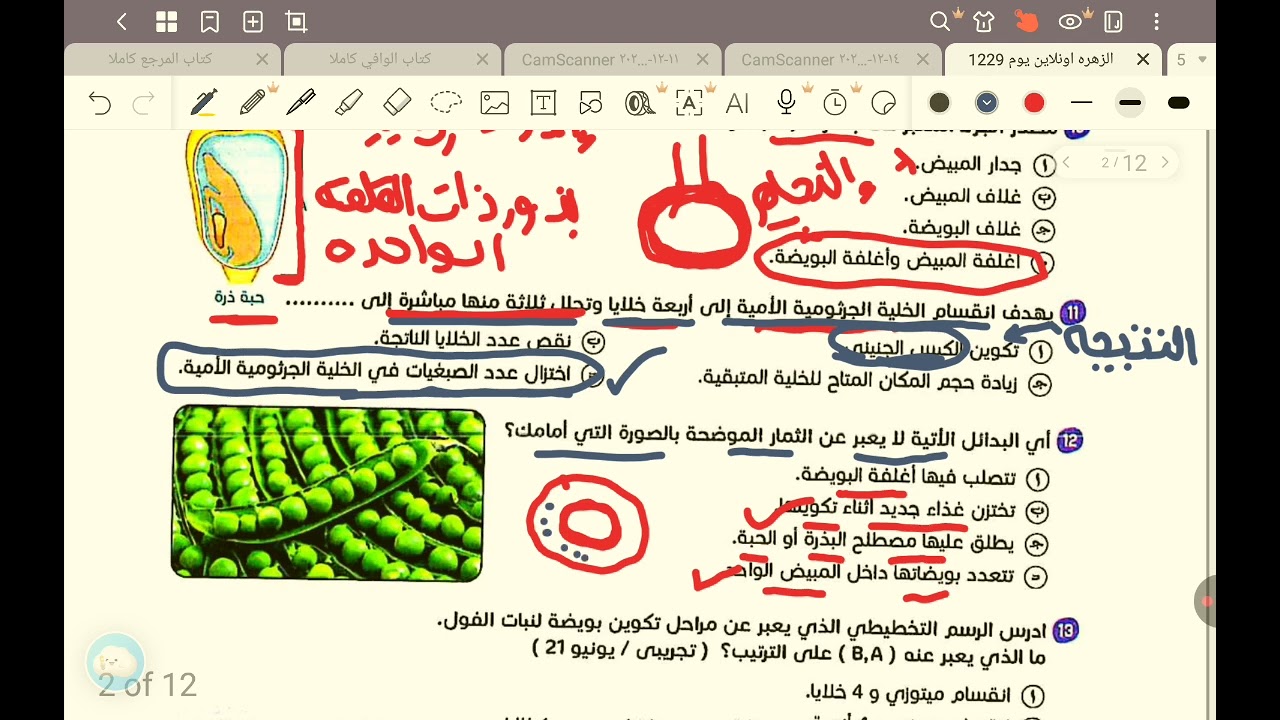 حل الزهره كتاب المرجع من السؤال ١ل٢٠  احياء 2025