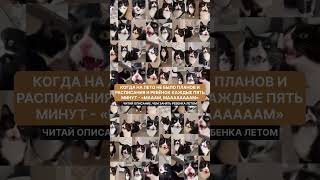 #английскийonline #юмор #ielts #мамывкурсе#мамыназаметку#мамасоветует#мамаблог#мамадочкисын#мамалето