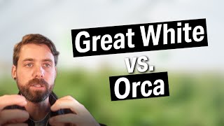 The difference between Great White and Orca