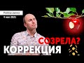 Ожидать ли коррекции рынка?  Прогноз по BTC/XRP/ETH