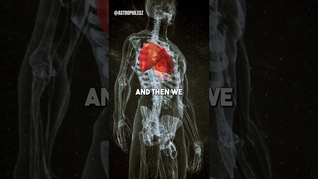 Neil deGrasse Tyson Explains How We Are Stardust 