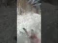 Kid cliff jumps Park City Utah #skiing #mountains #parkcityutah