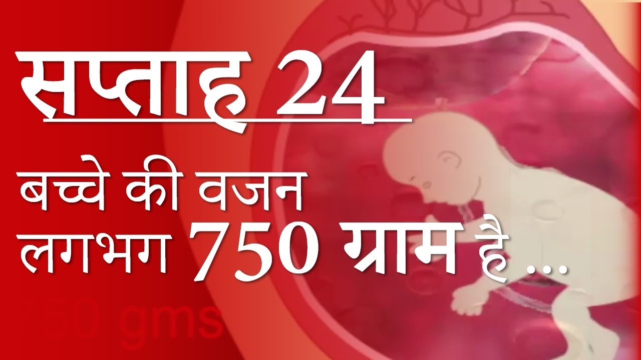 Pregnancy Hindi Week By Week Week 25 गर भ वस थ सप त ह 25 Month 6 Youtube