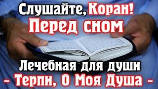  СЛУШАЙТЕ КОРАН ПЕРЕД СНОМ - ЛЕЧЕБНАЯ ДЛЯ ДУШИ, ТЕРПИ О МОЯ ДУША Очень красивое чтение корана