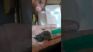 Unboxing of canon powershot a1200 digital camera