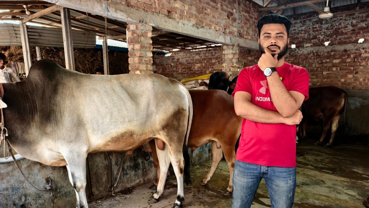 খামার করতে হলে এই সকল জিনিস নিয়ে চিন্তিত হওয়া যাবে না।