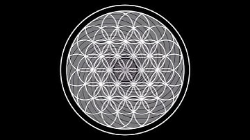 Flower of Life with a Fibonacci Twist Animation #shorts