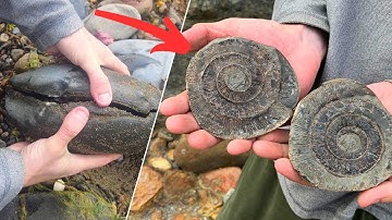 Fossil Hunter Cracks Open Jurassic Ammonites