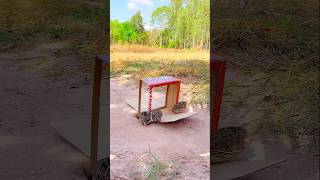 Highly Effective &amp; Beautiful Quail Trap Technique | Smart DIY Method #shorts #youtubeshorts