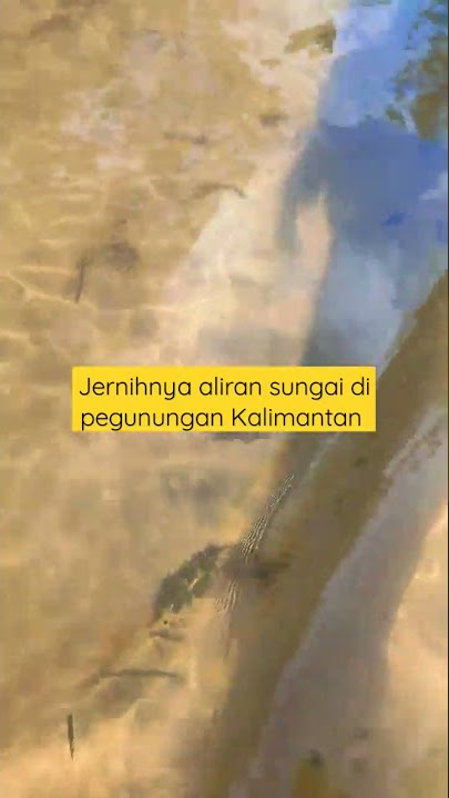menelusuri Jernihnya aliran sungai pegunungan di Kalimantan#shorts