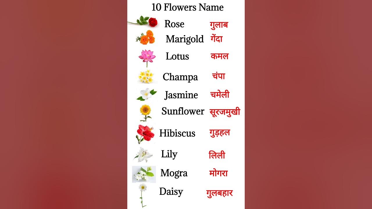 10 Flowers Name In English And Hindi