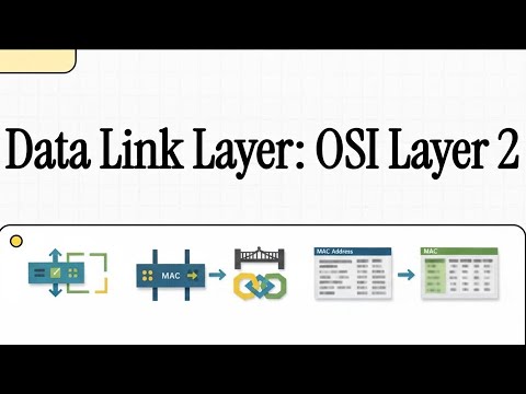 Data Link Layer Basics: OSI Model Layer 2