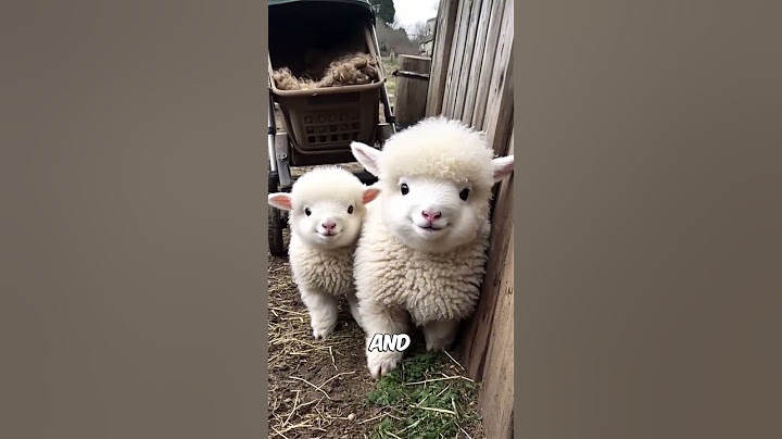 You Won’t Believe What This Is Made Of