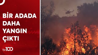 Yunanistanda 7 Gündür Yangın Var Tv100 Haber