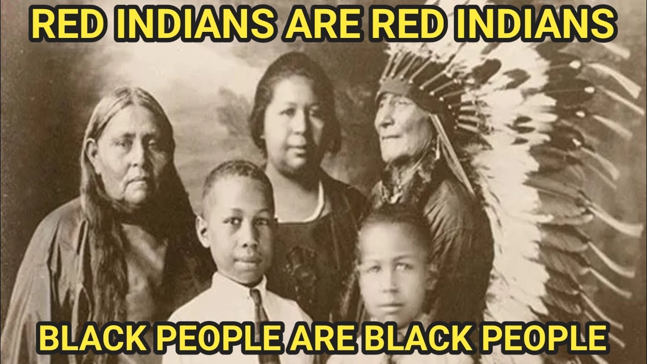 BLACK AMERICANS ARE NOT INDIANS WE ARE JUST BLACK PEOPLE POINT BLANK black-americans-are-not-indians-we-are-just-black-people-point-blank