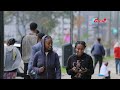ደብረፂዮንና ኢሳያስ ተወያይተዋል- ጌታቸው ረዳ @ethiopian_reporter