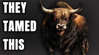 The First Livestock Was Absolutely Insane