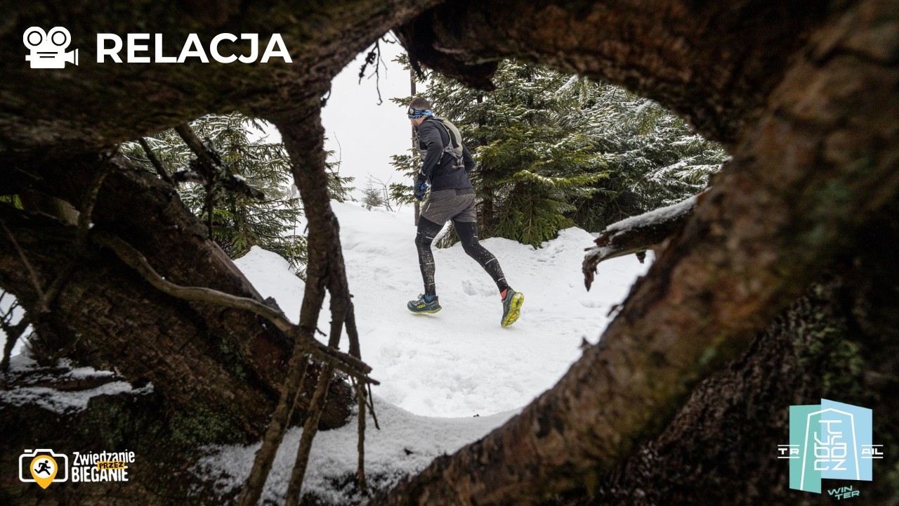 Turbacz Winter Trail 2026 | Zimna Połówa | Turbacz | Relacja