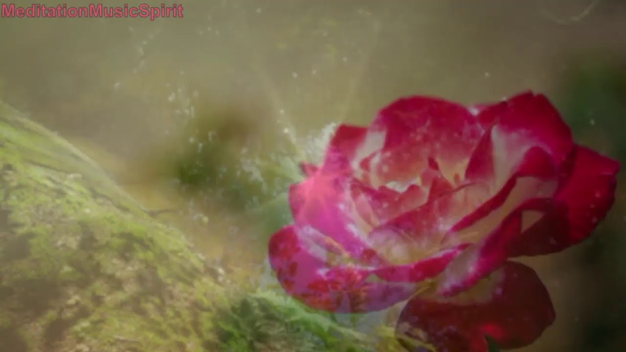 Lizzo 8D Meditation Music, Instrumental Music, Calming Music, Soft Music