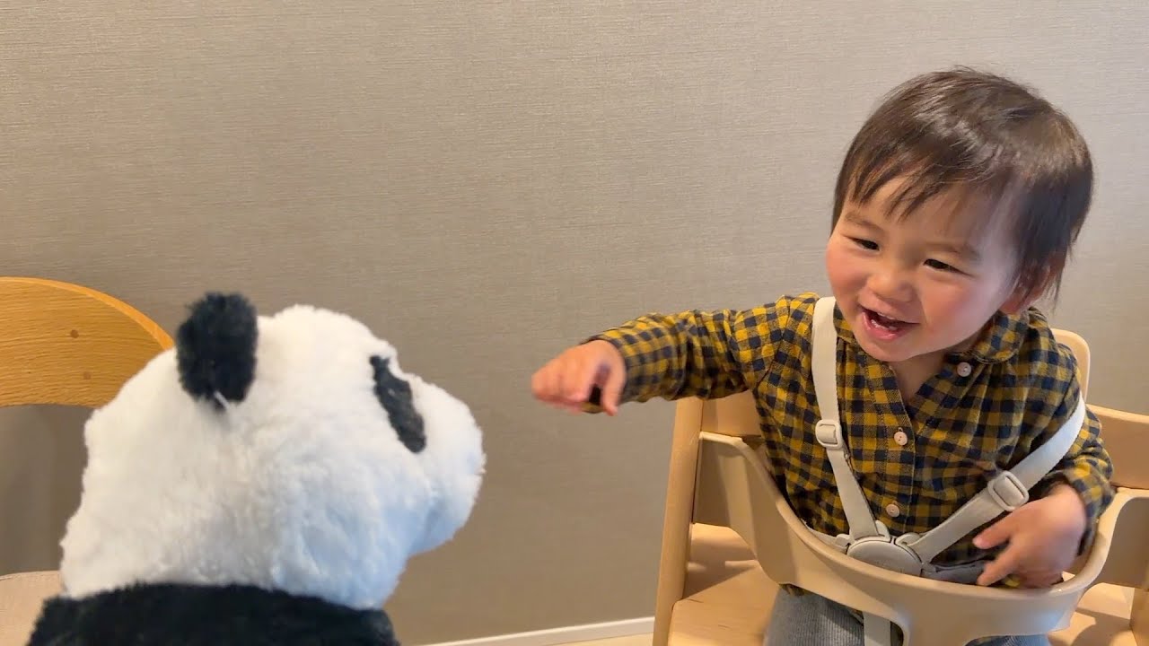 20260119~ アンタッ！🐼毎日散歩中🚶