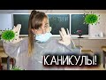 КОРОЧЕ ГОВОРЯ,ВНЕЗАПНЫЕ КАНИКУЛЫ!КАНИКУЛЫ 2020