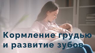 Грудное вскармливание новорожденных. Как долго кормить грудью ребенка?