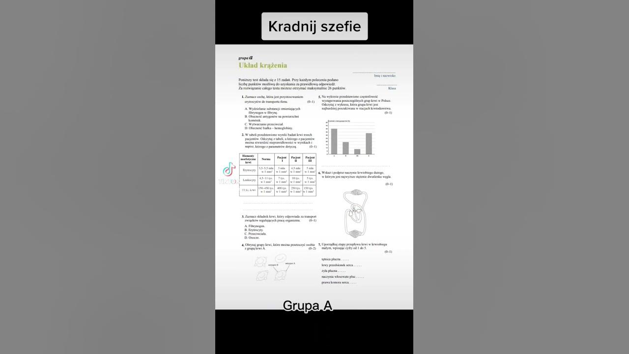 Układ Oddechowy Puls życia 2 Sprawdzian Chomikuj www.youtube.com