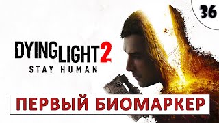 Dying Light 2 Stay Human (Прохождение) #36 - Первый Биомаркер