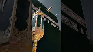 Masjid al-Haram #Makkah #subhanAllah #InshaAllah #Pray #viral #trendingshorts