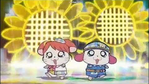 Hamtaro Kekkon song