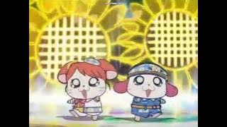 Hamtaro Kekkon song