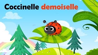Coccinelle Demoiselle, Bête À Bon Dieu - Comptine À Gestes Pour Enfants Et Bébés Avec Les Paroles