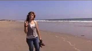 Watch Nikka Costa Without Love video