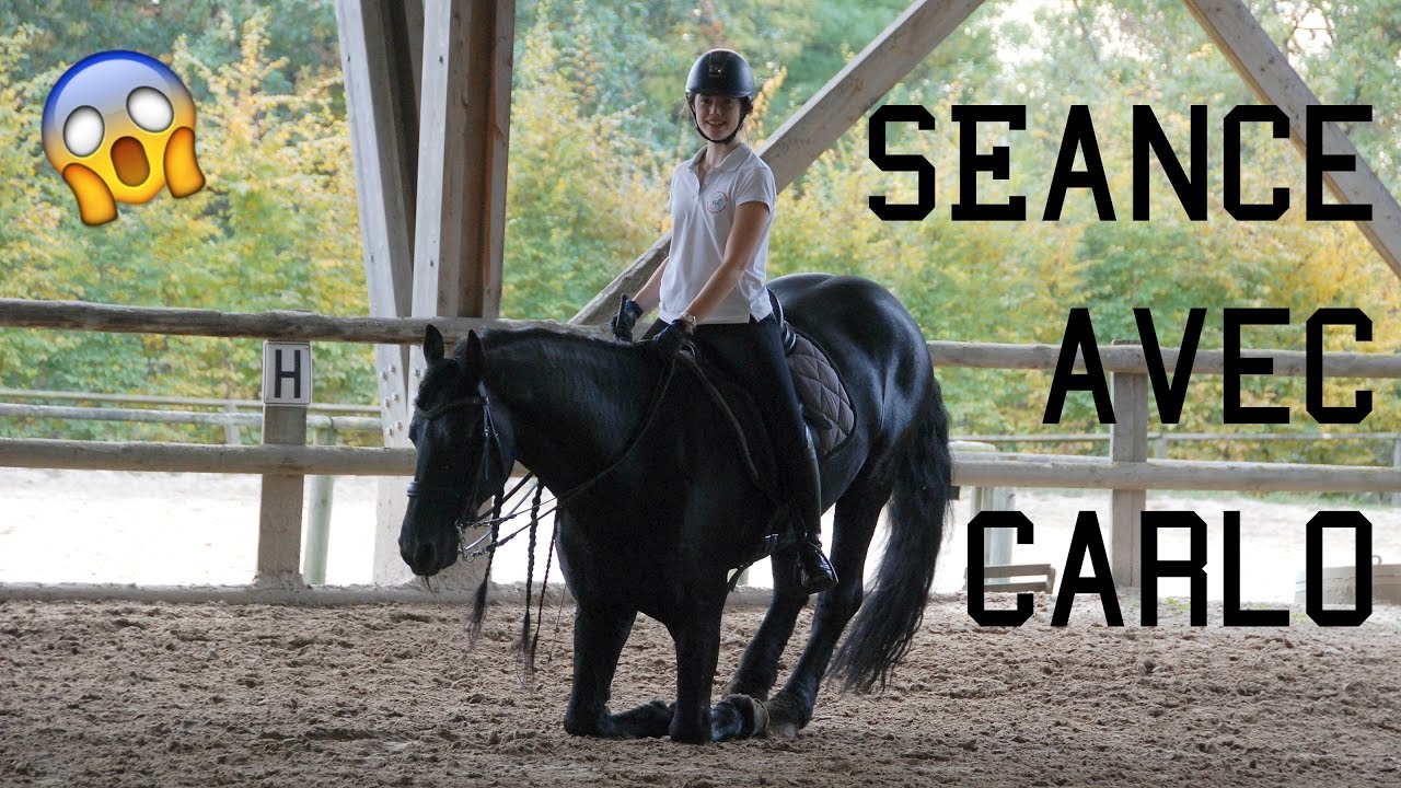 JE MONTE SUR UN FRISON ! 🦄