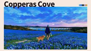 Copperas Cove | Jazz House Mix | BOLDEN, BERLIOZ Set | Elegant Night Grooves & Chill Vibes