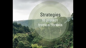Tackling Global Challenges - Tropical Deforestation Episode 1