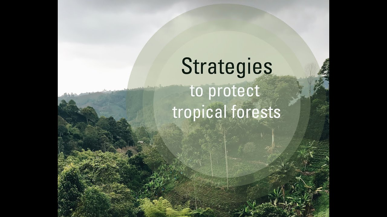 Tackling Global Challenges - Tropical Deforestation Episode 1