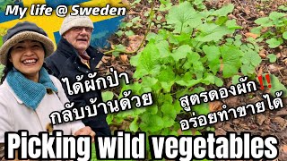 While traveling south, I stopped to gather many kinds of wild Swedish vegetables, including wild ... screenshot 3