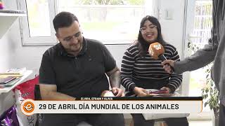 29 DE ABRIL 'DÍA MUNDIAL DE LOS ANIMALES'