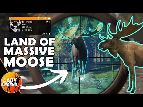 WHY YOU NEED TO HUNT IN REVONTULI NOW!!! - Call of the Wild