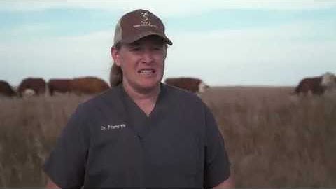 The 2019 BQA Cow-Calf Winner