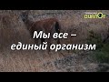 Мы все – единый организм (Кино)