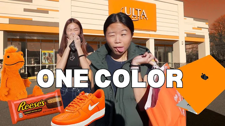 BUYING Everything in ONE COLOR for my SISTER *NO BUDGET 😱*