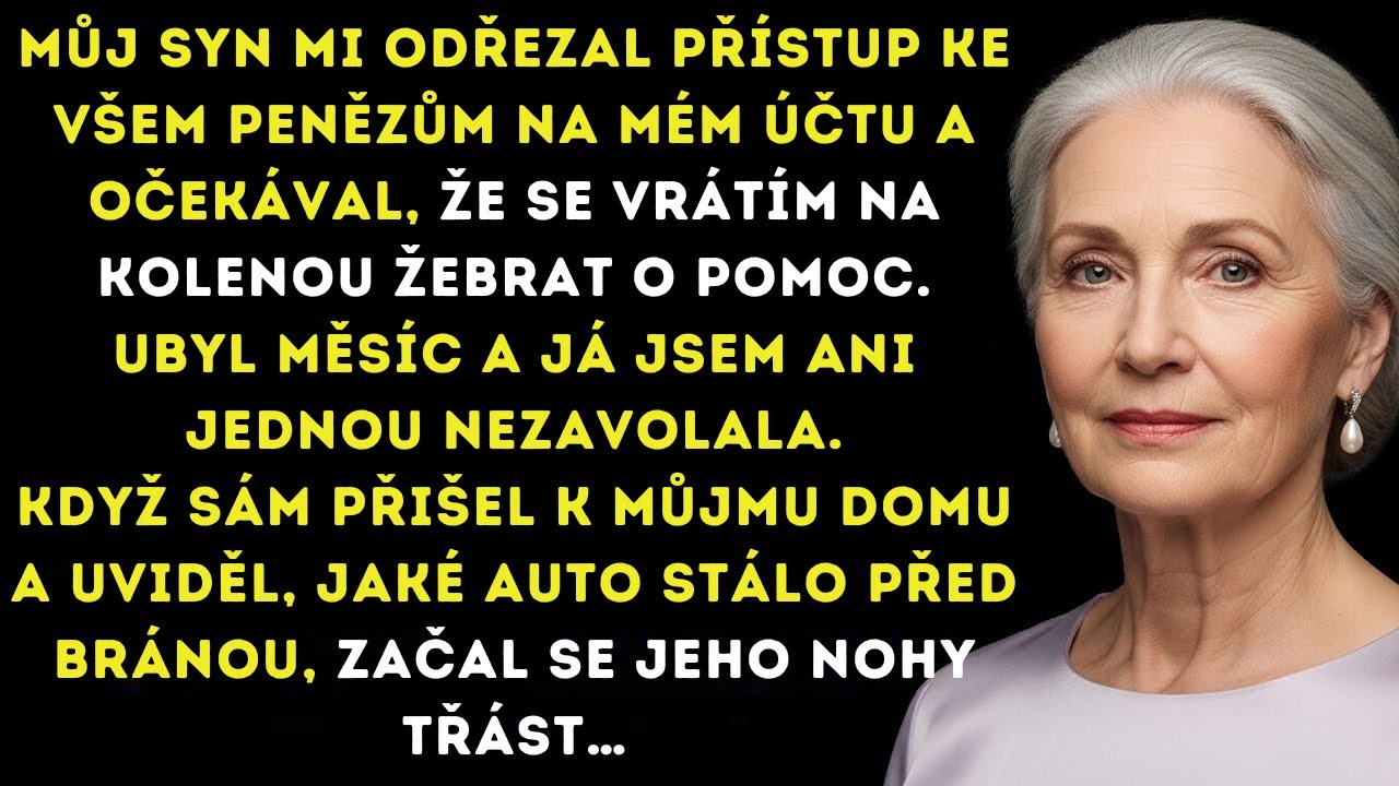 Můj syn mi odřezal přístup k účtu, čekal, že budu žebrat, a pak projel kolem a uviděl…