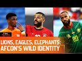 Lions, Eagles &amp; Elephants: Powerful Stories Behind Africa Football Team Names | AFCON | First Sports