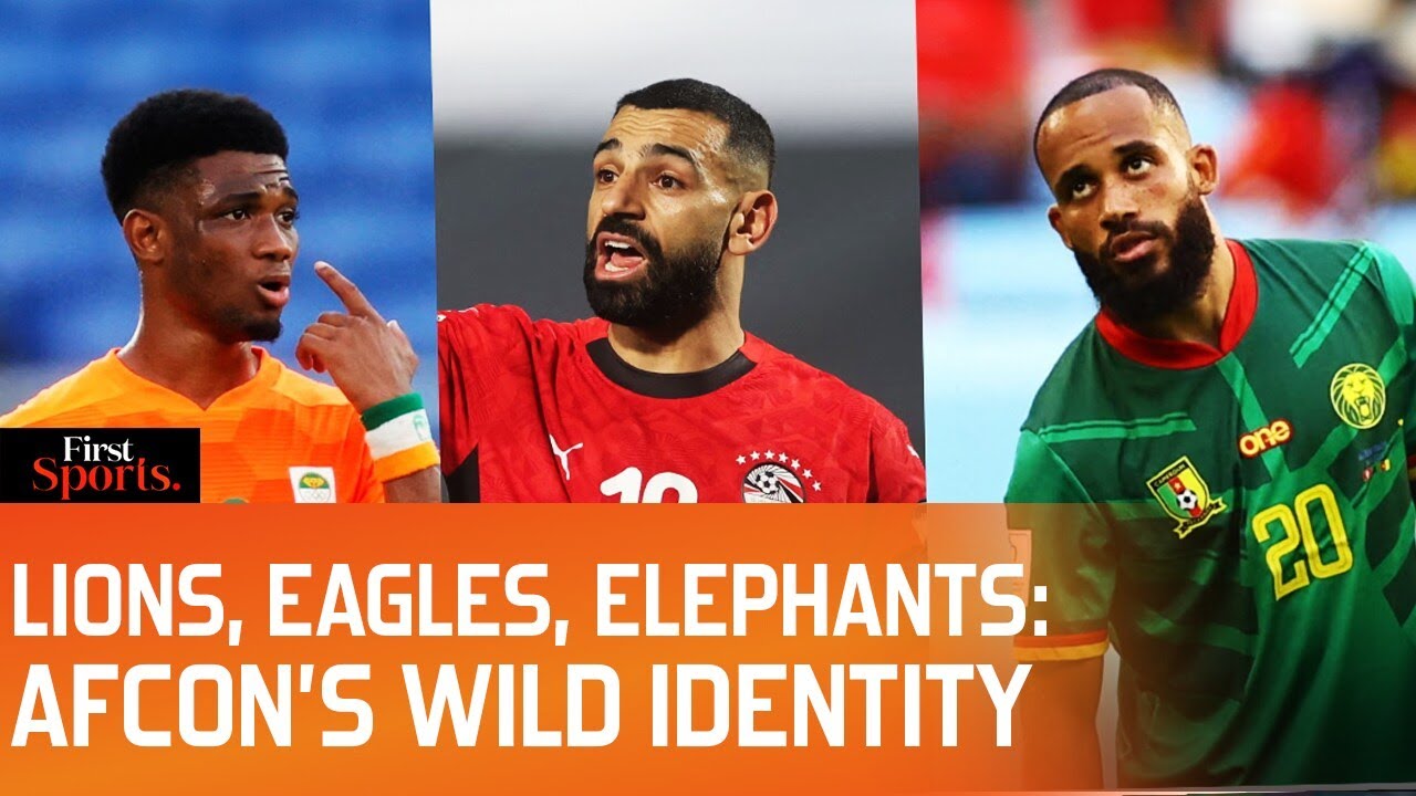 Lions, Eagles & Elephants: Powerful Stories Behind Africa Football Team Names | AFCON | First Sports