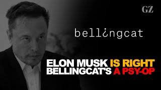 Elon Musk is right: Bellingcat's a psy-op