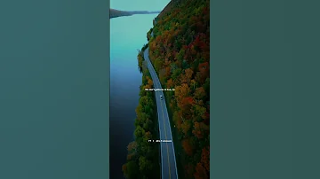 The Weeknd JENNIE Lily Rose Depp One Of The Girls Lyrics Slowed Edit Aesthetic Shorts 