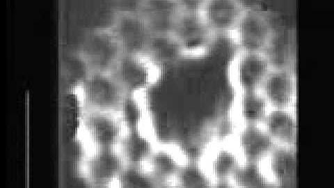Delamination in a honeycomb composite