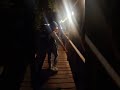 Unik !! Resto ditengah hutan bakau #hutanbakau #restounik #gelap #seram #videoviral